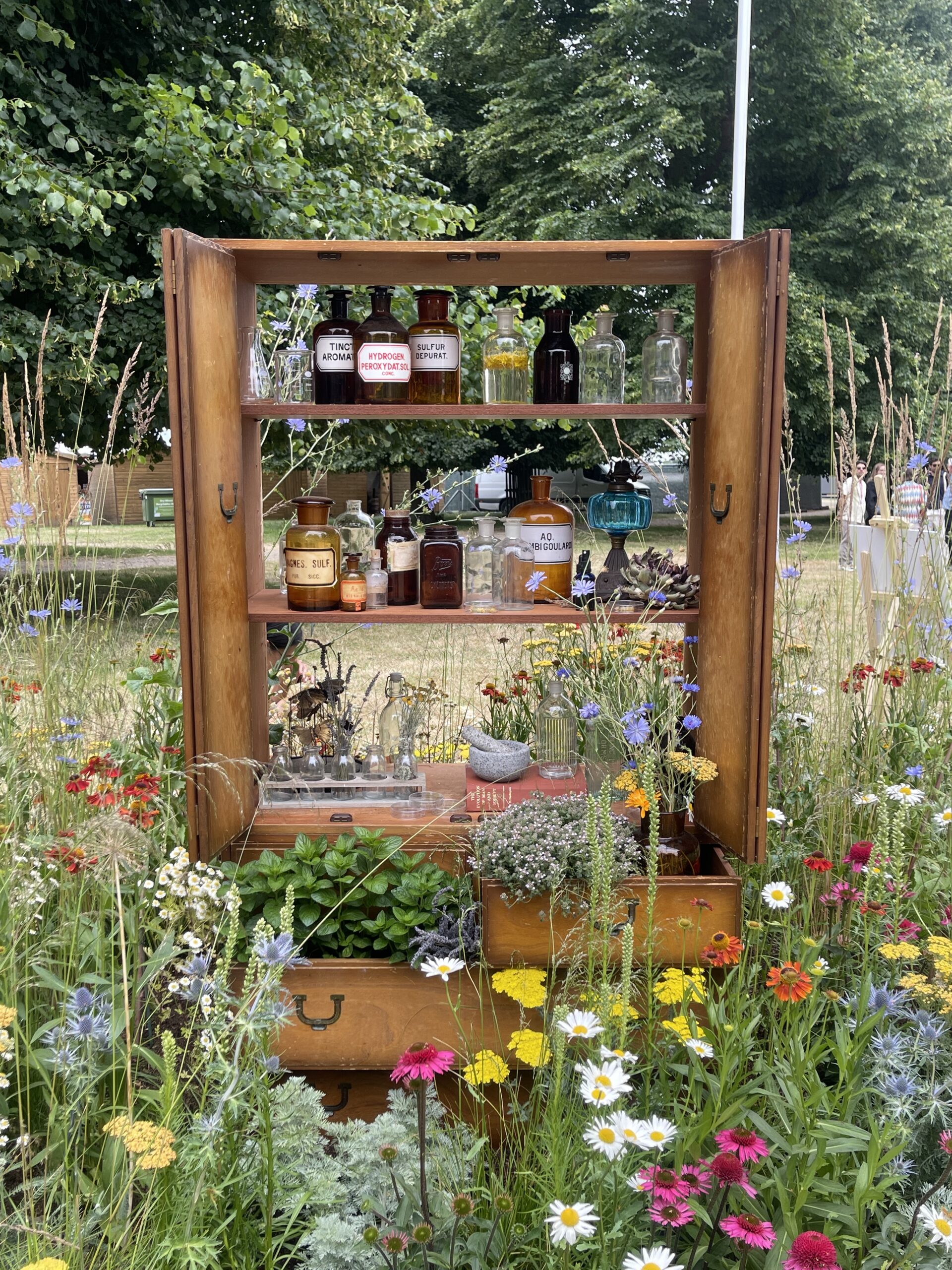 Healing Garden at RHS Hampton Court flower show 