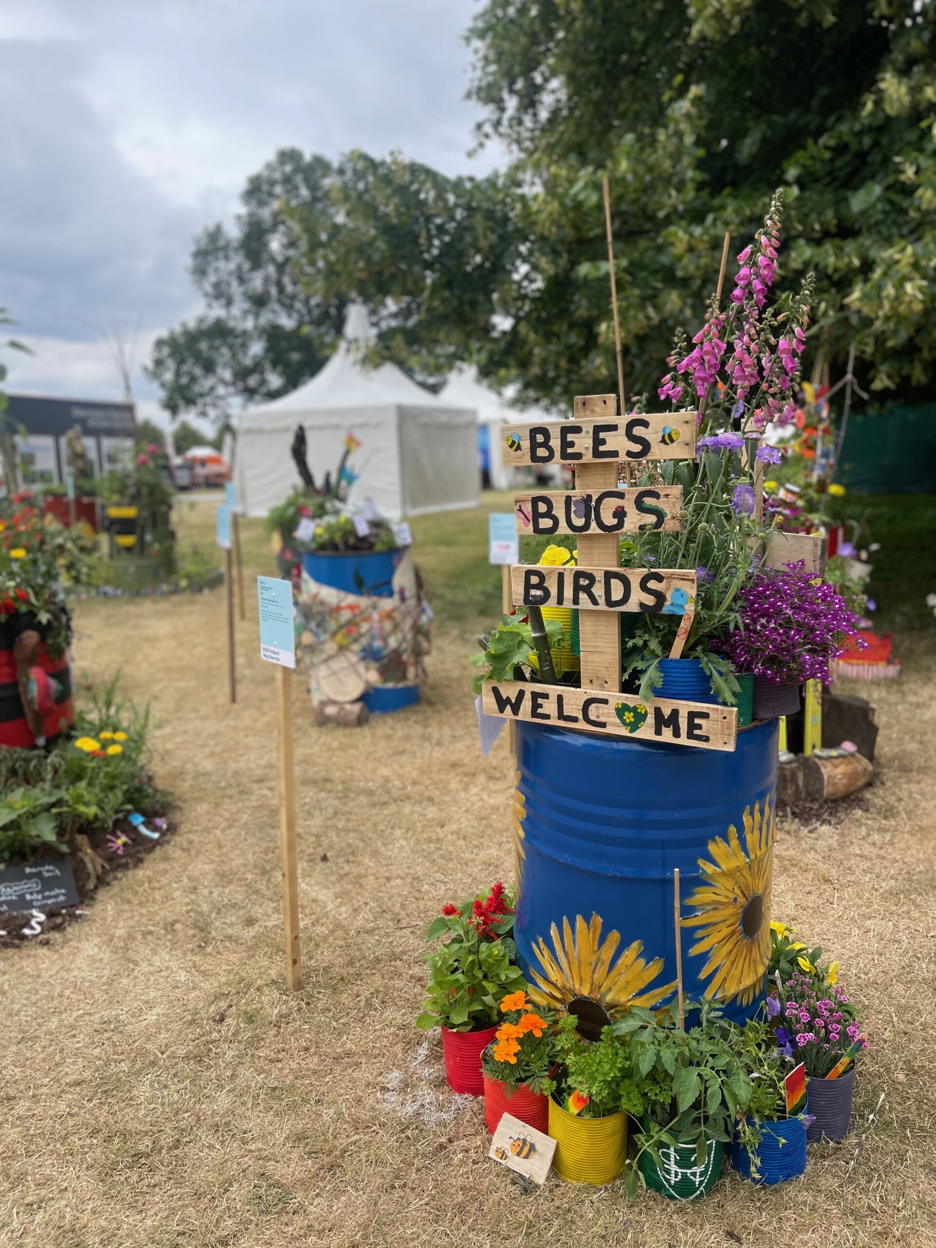 Bug barrels designed by 24 schools to encourage biodiversity 